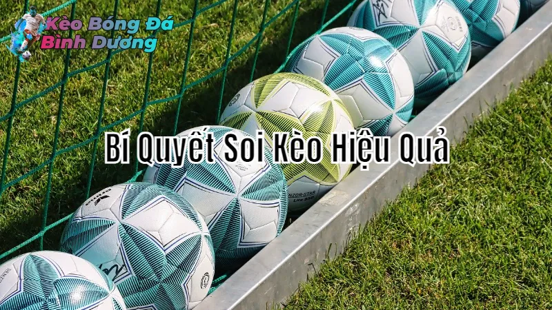 Bí Quyết Soi Kèo Hiệu Quả Cho Người Mới 2024