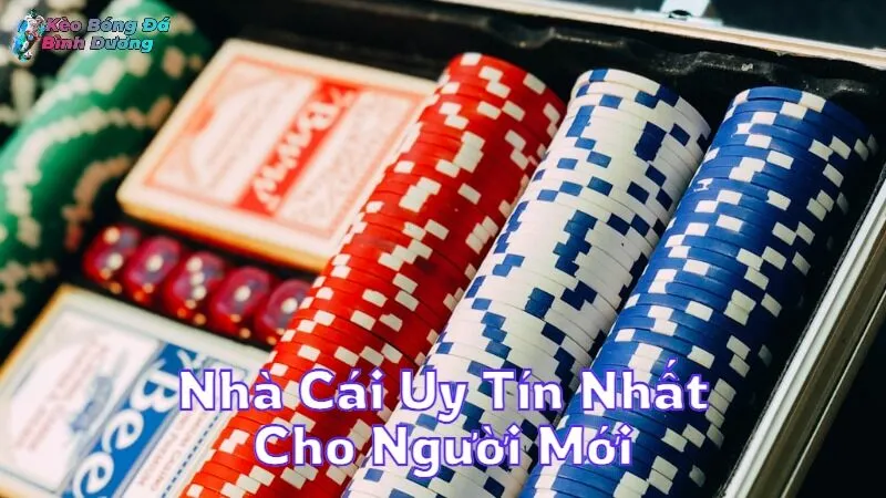 Nhà Cái Uy Tín Nhất Cho Người Mới